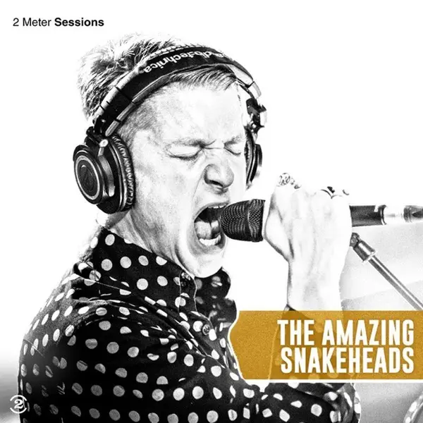 2 Meter Sessions - Vinyle