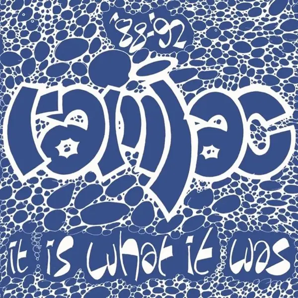 88/92 It Is What It Was - Vinyle