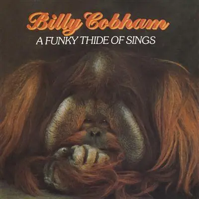 A Funky Thide Of Sings