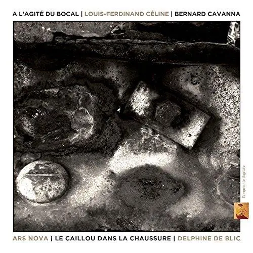 A l’agité du Bocal Le Caillou dans la chaussure Digipack Inclus DVD