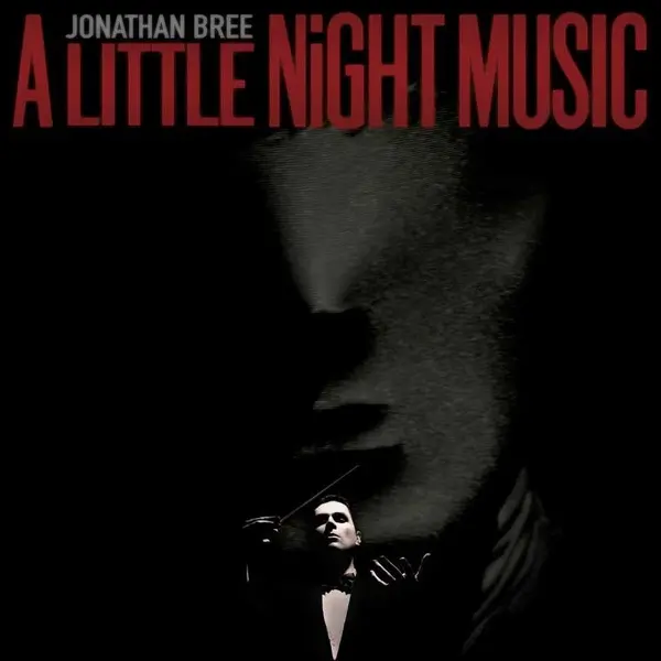 A Little Night Music - Vinyle