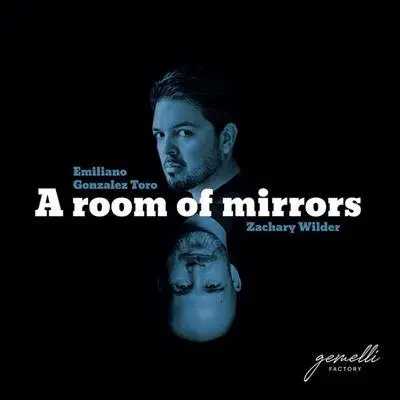 A Room Of Mirrors