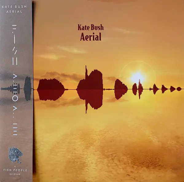 Aerial Vinyle Coloré