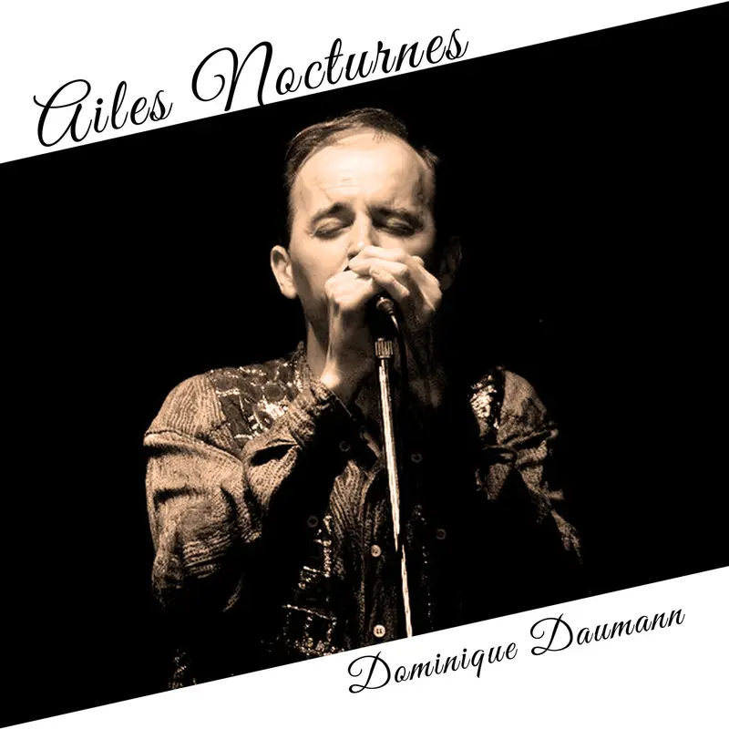 AILES NOCTURNES - DOMINIQUE DAUMANN (CD)