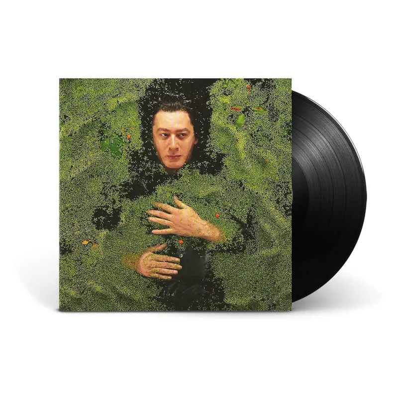 Alain Bashung - Fantaisie Militaire - Vinyle