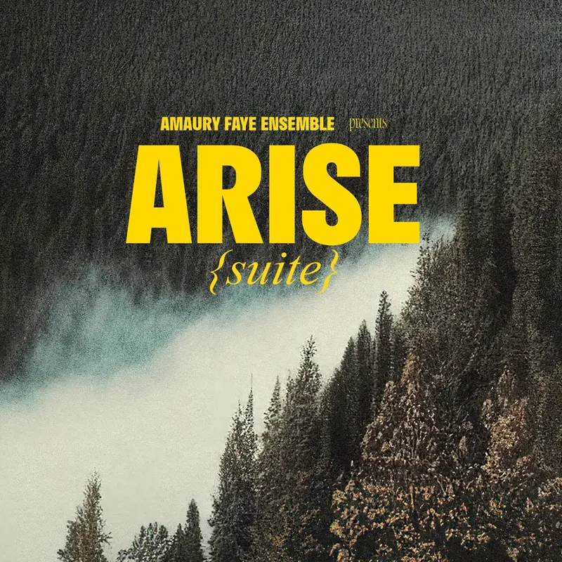 ARISE (SUITE) - AMAURY FAYE ENSEMBLE (CD)