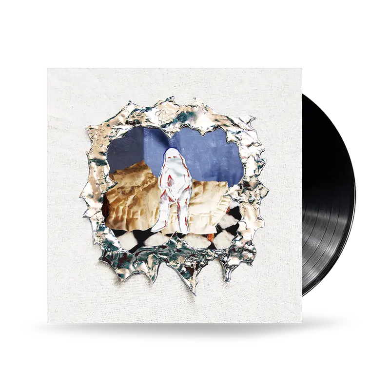 Asinine - Brûler La Maison - Vinyle
