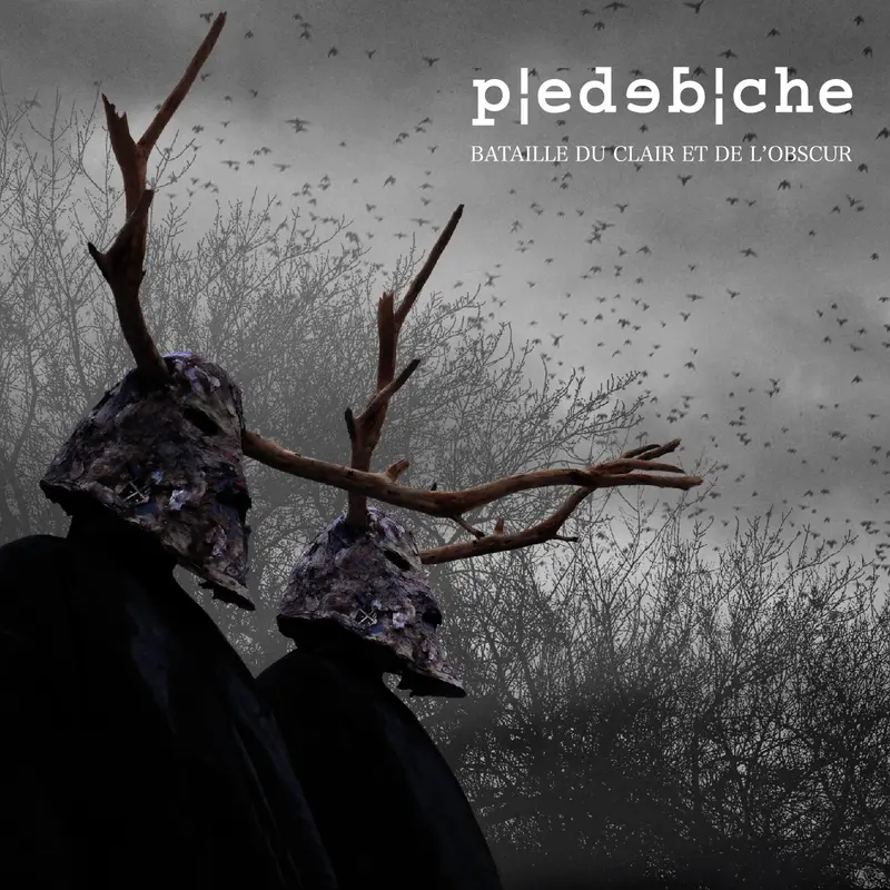 BATAILLE DU CLAIR ET DE L'OBSCUR - PIEDEBICHE (CD)