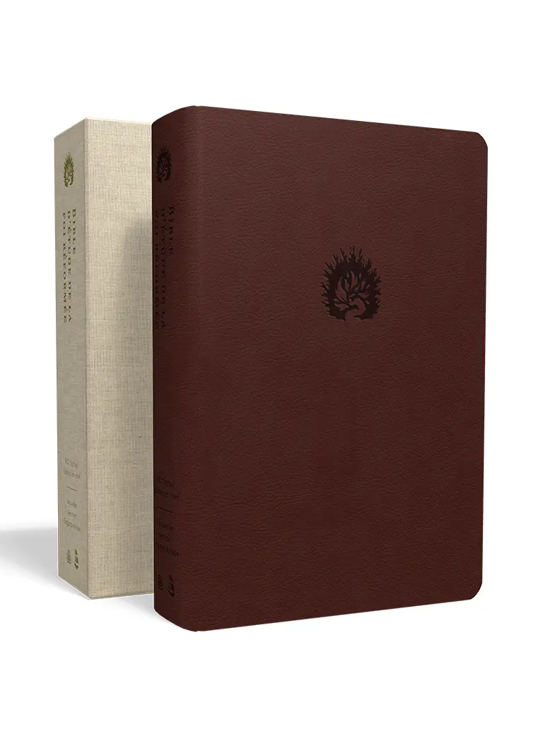 Bible d’étude de la foi réformée (Marron)