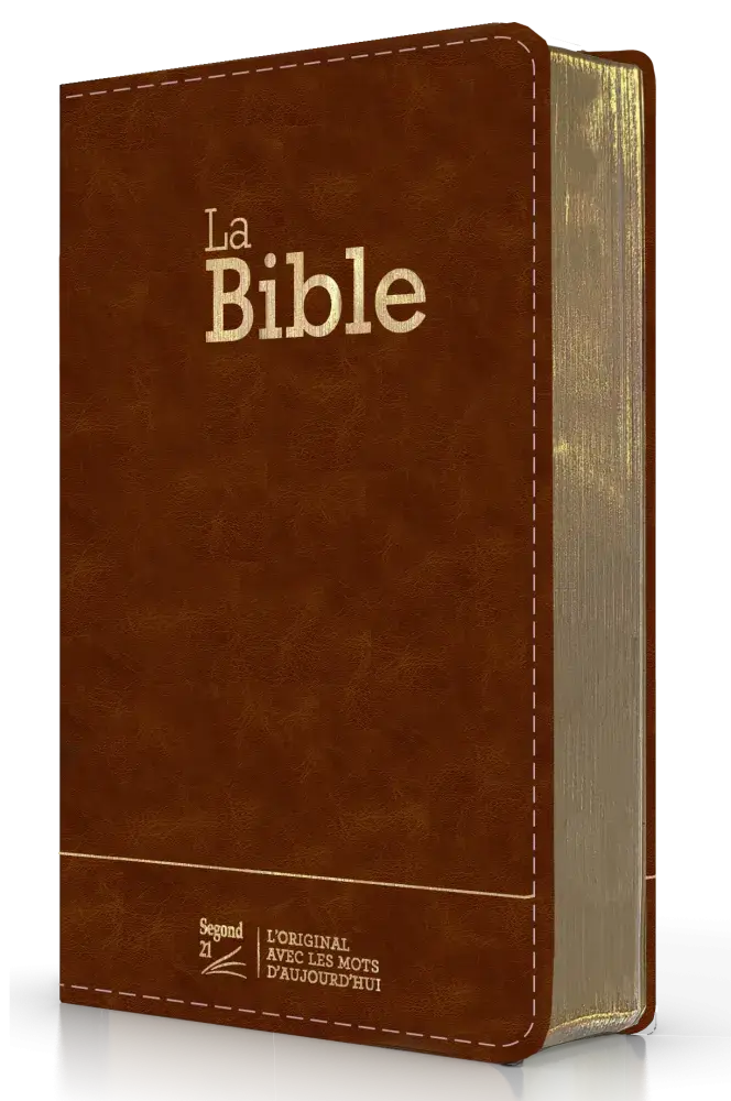 Bible Segond 21 compacte premium style cuir brun