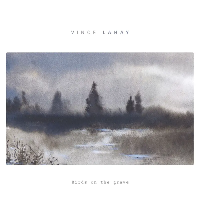 BIRDS ON THE GRAVE - VINCE LAHAY (CD)