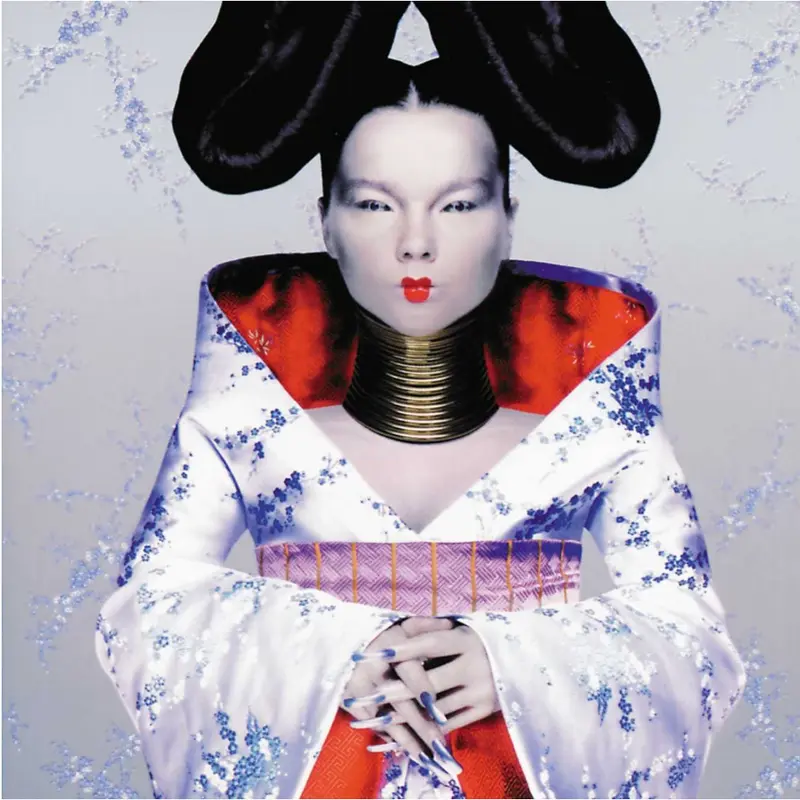 Bjork | Homogenic