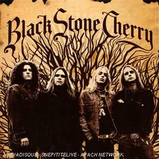 Black Stone Cherry