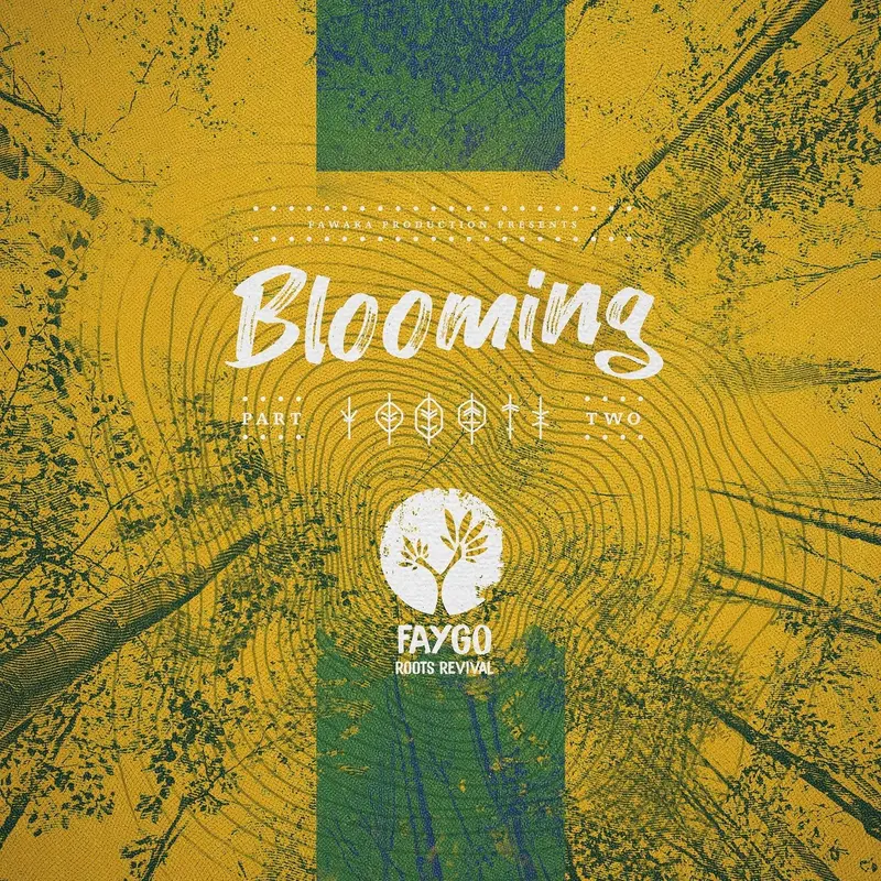 BLOOMING #2 - FAYGO (VINYLE 33T)