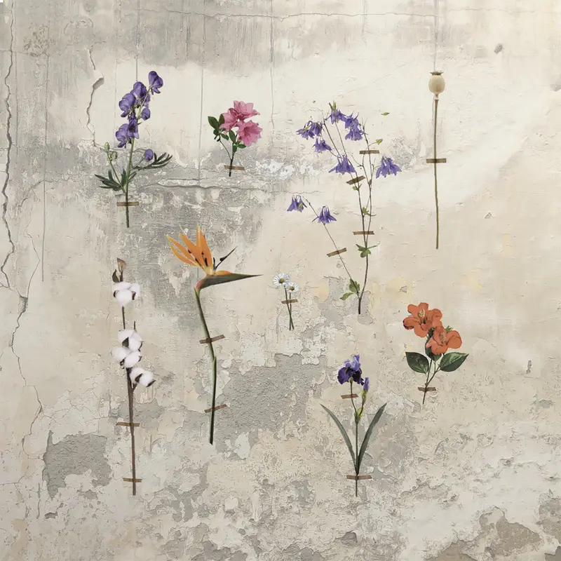 BORDS DE TERRE DUBHE - HORZINES STARA (CD)