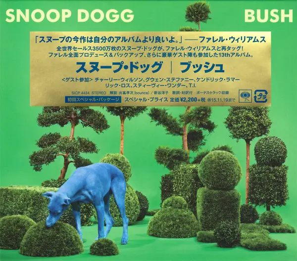 Bush