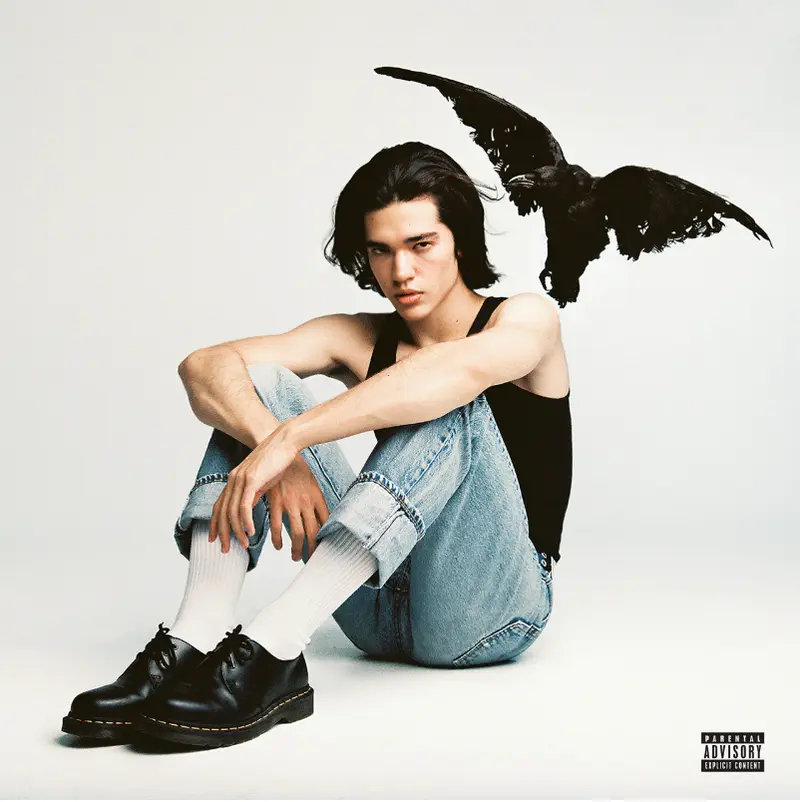 Conan Gray | Kid Krow - CD