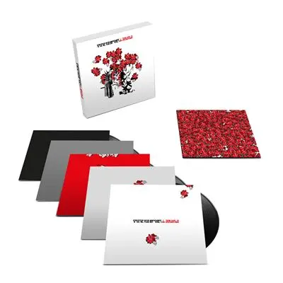 Downside Up Édition Limitée Coffret