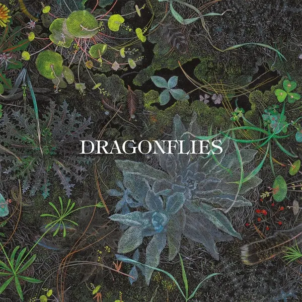 Dragonflies