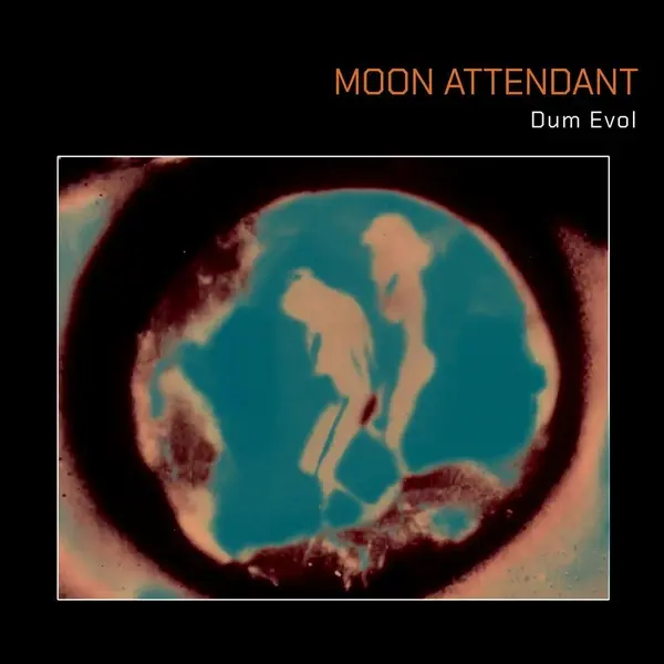 Dum Evol - Vinyle