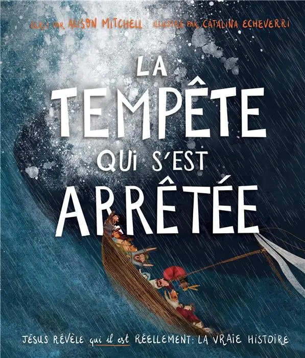 Ebook - La tempête qui s'est arrêtée