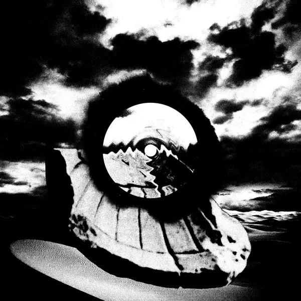 Echos Of Unfortunate Times - Vinyle