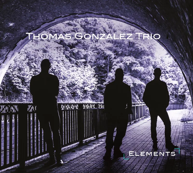 ELEMENTS - THOMAS GONZALEZ TRIO (CD)