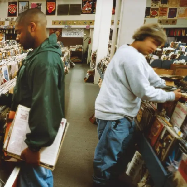 Endtroducing.....