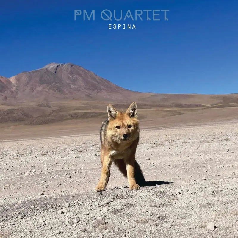 ESPINA - PIERRE MARTINET QUARTET (CD)