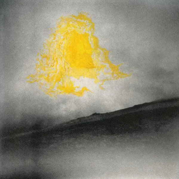 Everything In Readiness - Vinyle