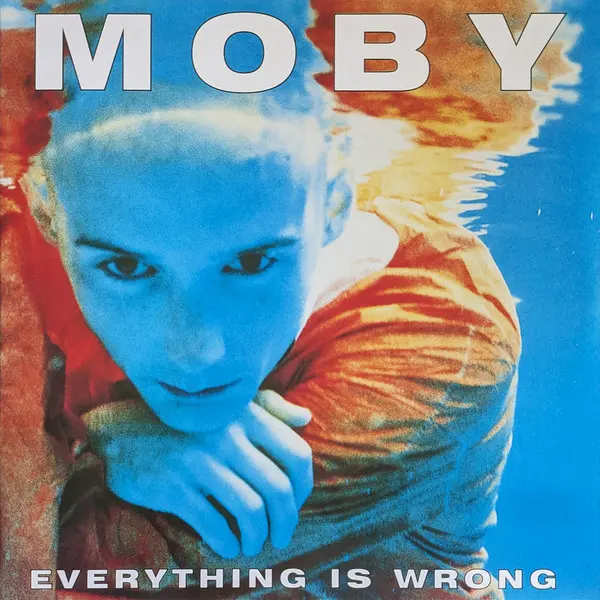 Everything Is Wrong Vinyle Bleu
