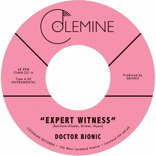 Expert Witness + Mistake - Vinyle