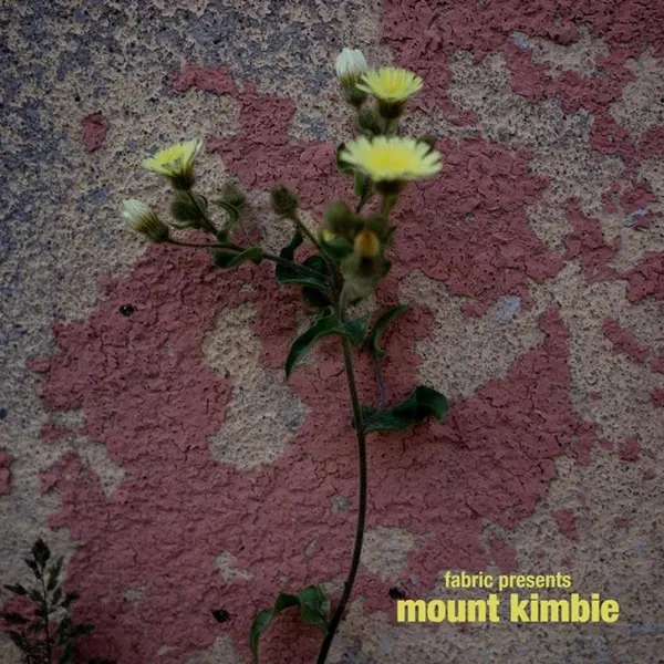 Fabric Presents Mount Kimbie - Vinyle