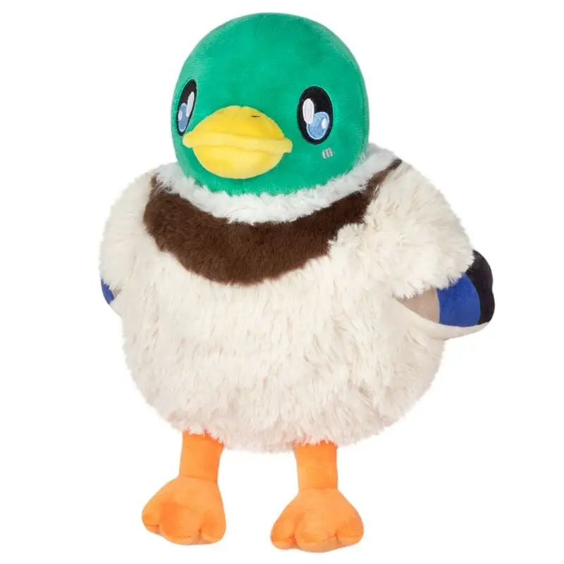 Figurine en peluche Fun de Squishable - Mallard Duck - pour Indifférent - multicolore