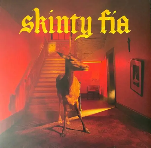 Fontaine DC | Skinty Fia