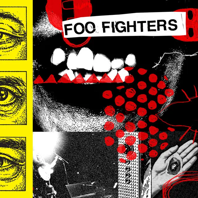 Foo Fighters | Your Favorite Toy - Vinyle
