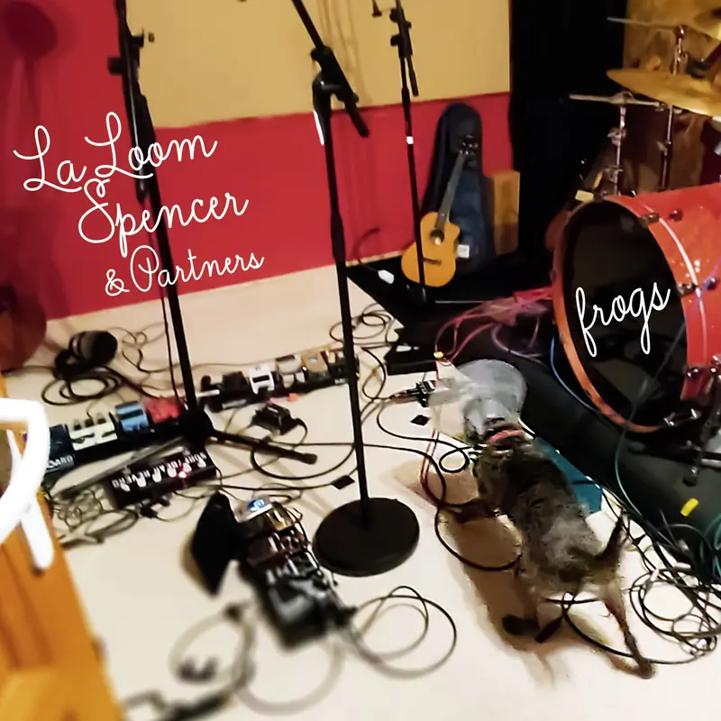 FROGS - LOOM SPENCER AND PARTNERS (CD)