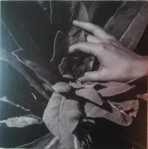 Heide Édition Limitée Vinyle Argent