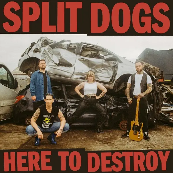 Here To Destroy - Vinyle