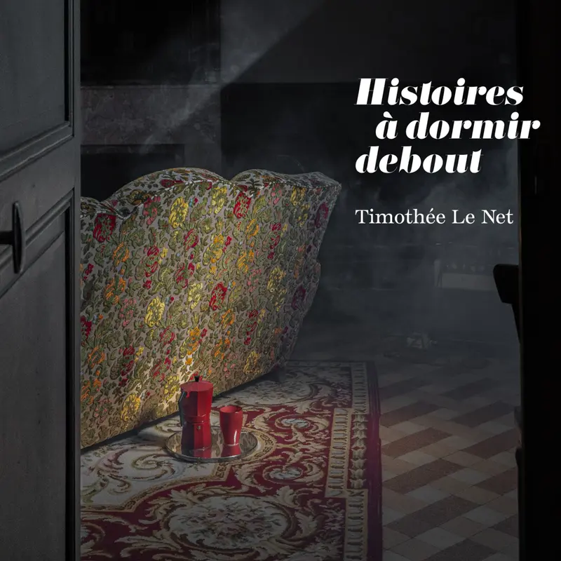 HISTOIRES À DORMIR DEBOUT - TIMOTHÉE LE NET (CD)