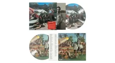 Indiscreet 50th Anniversary Edition Picture Disc