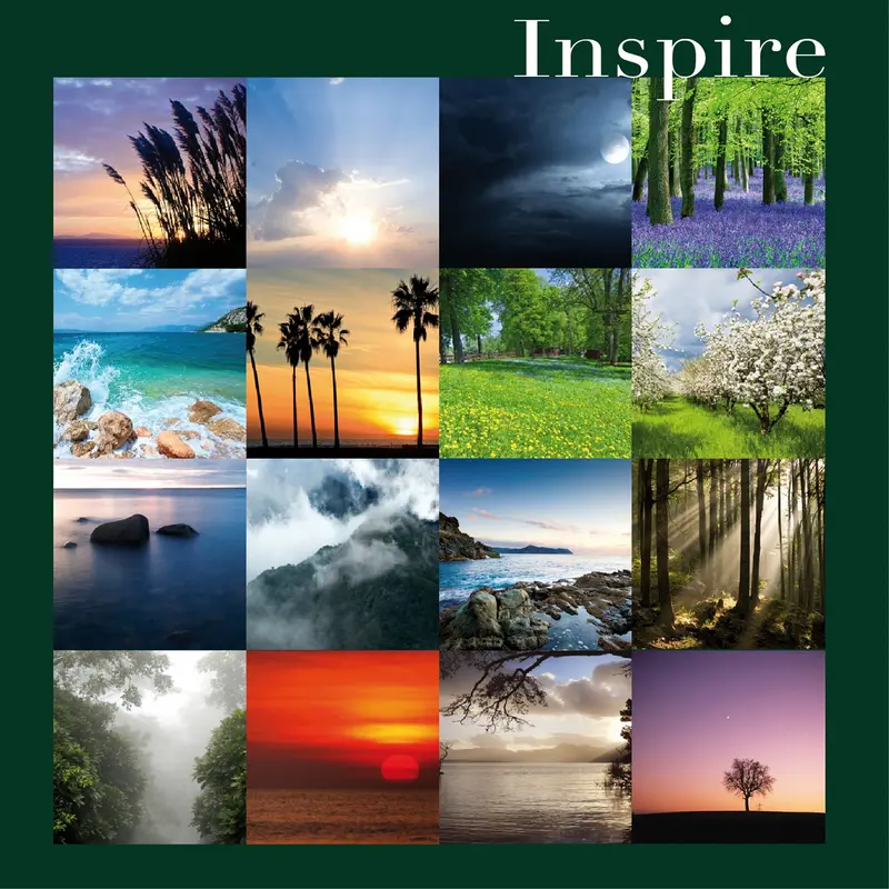 INSPIRE - PHILIPPE BESTION ET VINCENT BRULEY (CD)