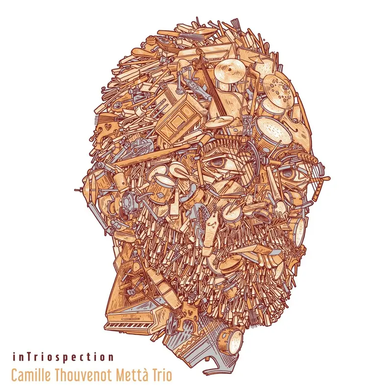 INTRIOSPECTION - CAMILLE THOUVENOT METTÀ TRIO (CD)