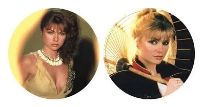 Karen Cheryl | Étonnamment Romantique (Best of) - Édition Limitée Picture Disc