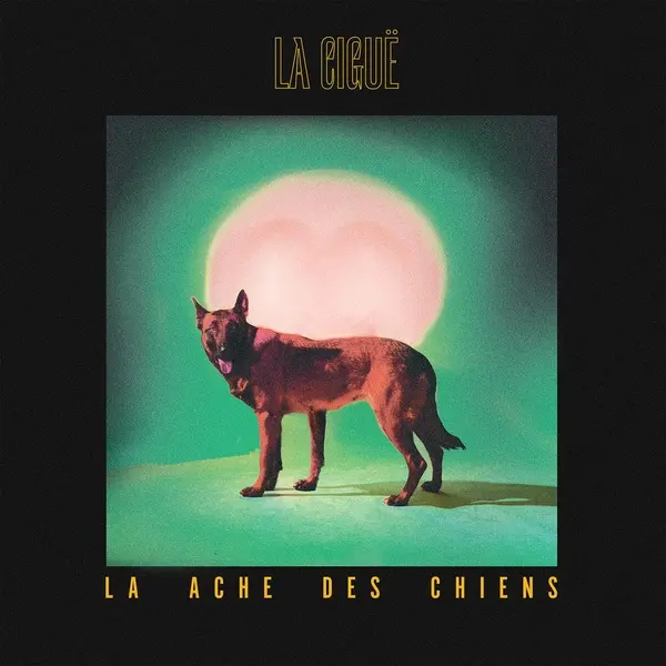 La ache des chiens