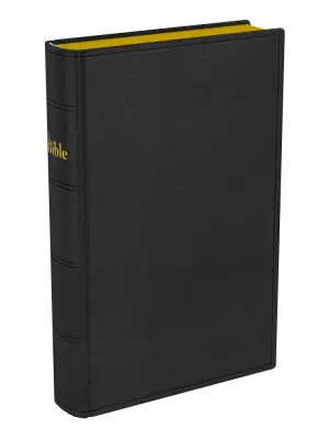 La Sainte Bible, Darby, format compact, cuir noir