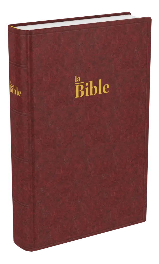 La Sainte Bible, Darby, format compact, rigide brun rouge