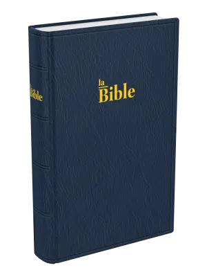 La Sainte Bible, Darby, format compact, souple bleu
