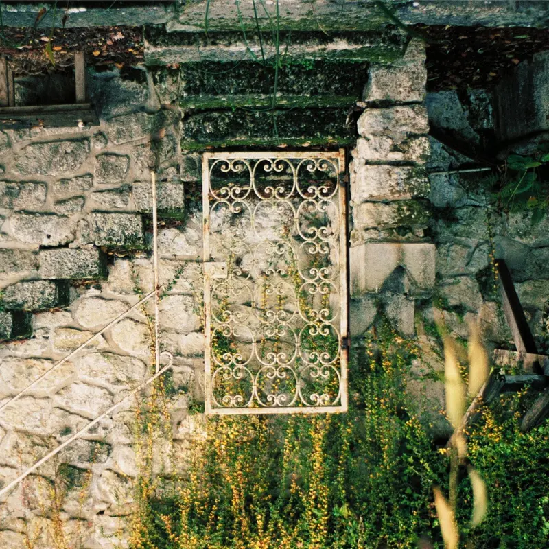 LAVENDER - BALM (CD)