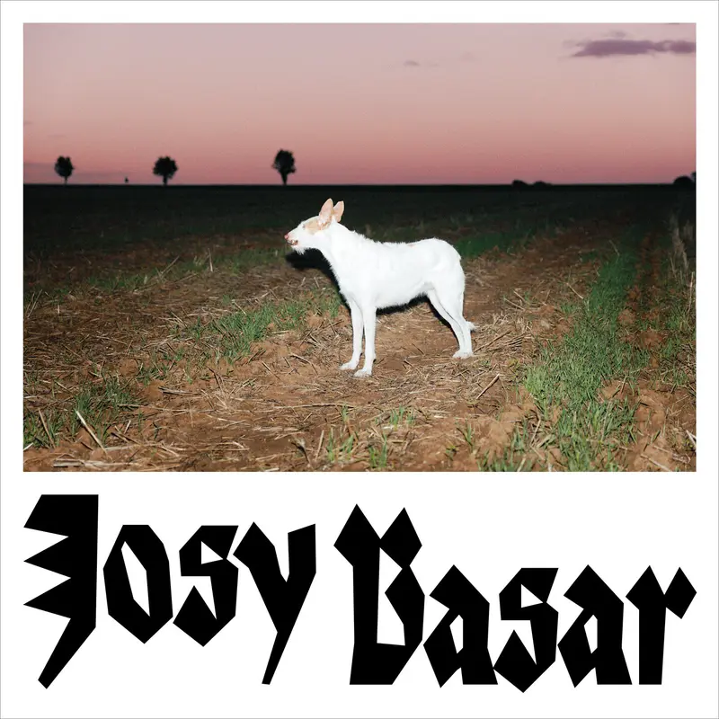 LE CHIEN - JOSY BASAR (VINYLE 33T)